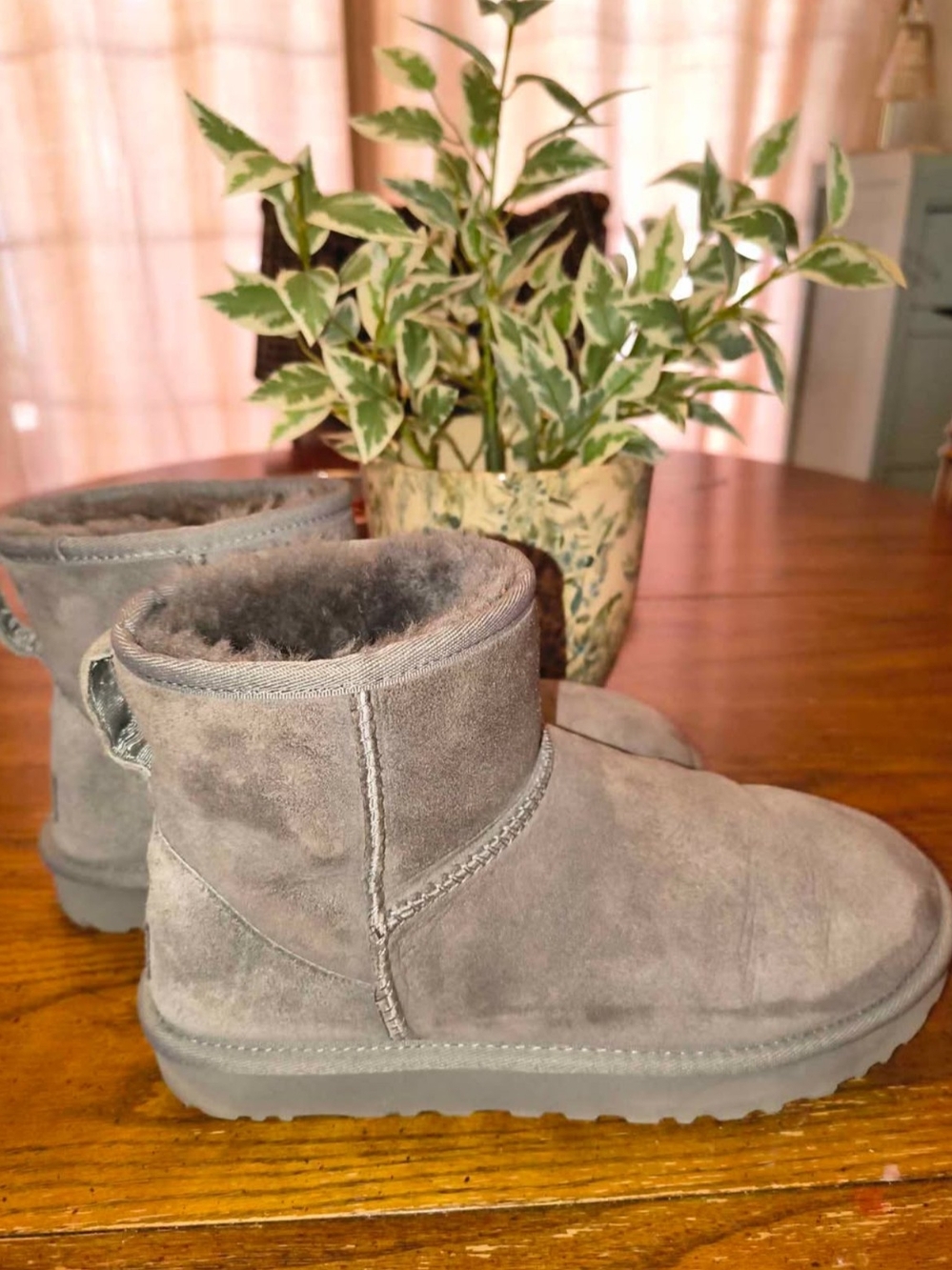 Short Suede Winter Uggs - Grey Plush Lining